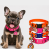 Collar Placa Nylon