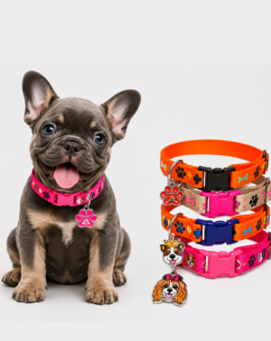 Collar Placa Nylon