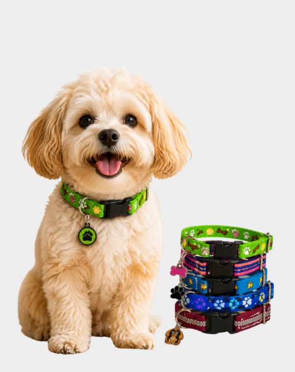 Collar Placa Eco