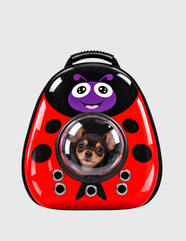 Bolso Capsula