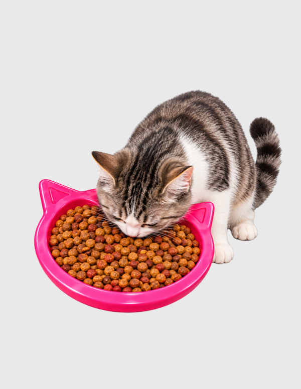 Comedero Cara Gato
