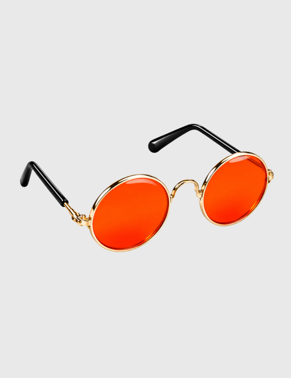 GAFAS FP