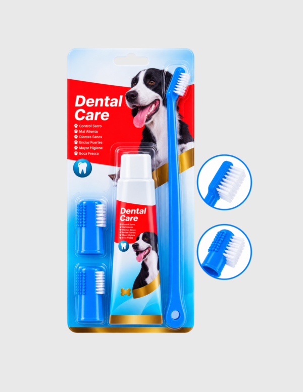 KIT DENTAL Kit Dental