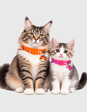 PRESENTANCION ANTIAHOG GATO Collar Anti ahogo Gato