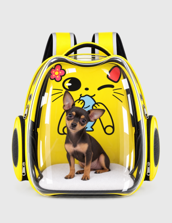 Bolso Panorámico