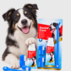 Kit Dental