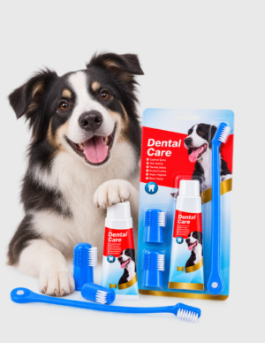 Kit Dental