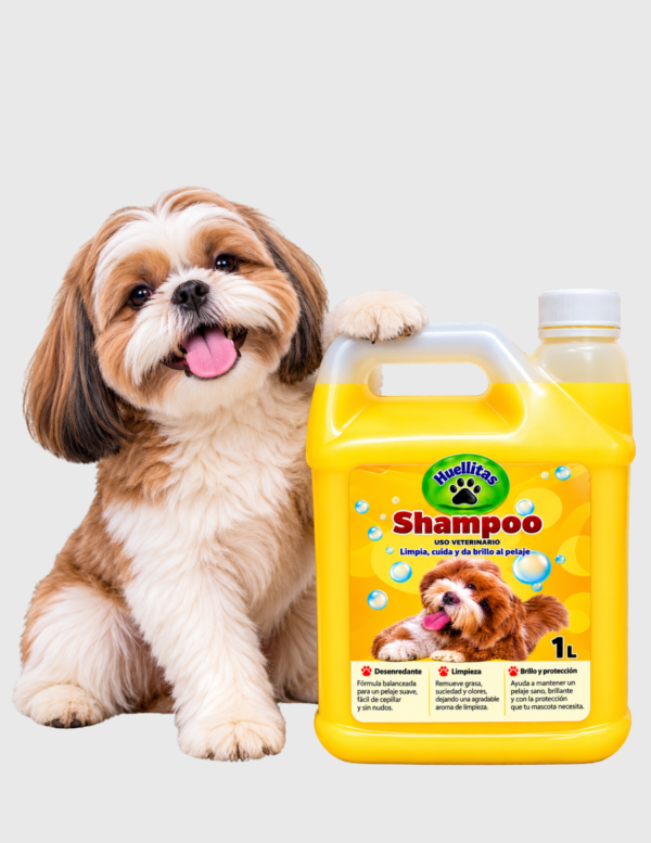 Pote Shampoo 1G