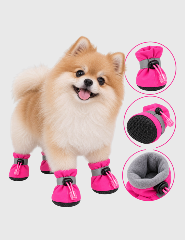 Zapatos